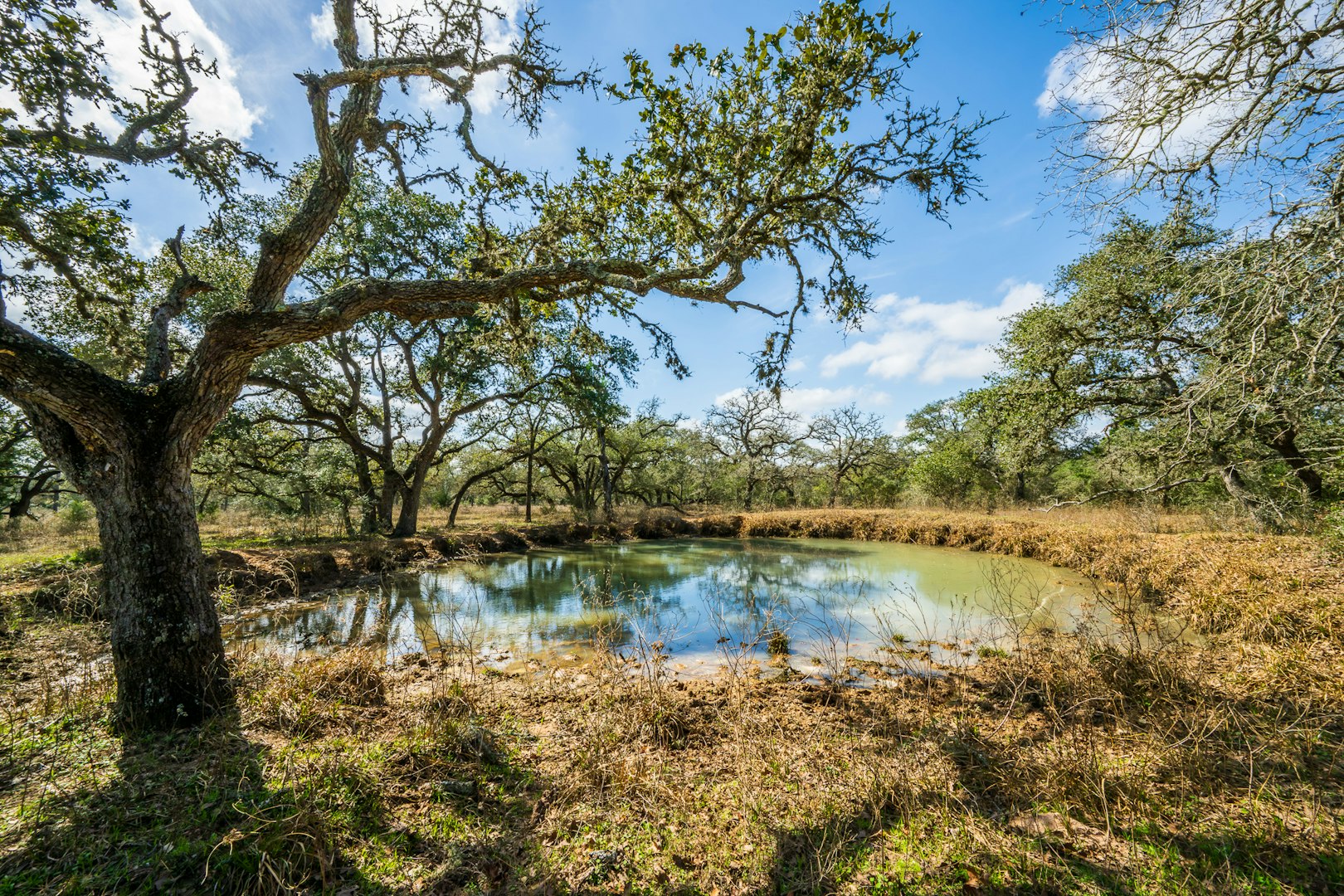 16297b Tx- 111 Yoakum TX 77995