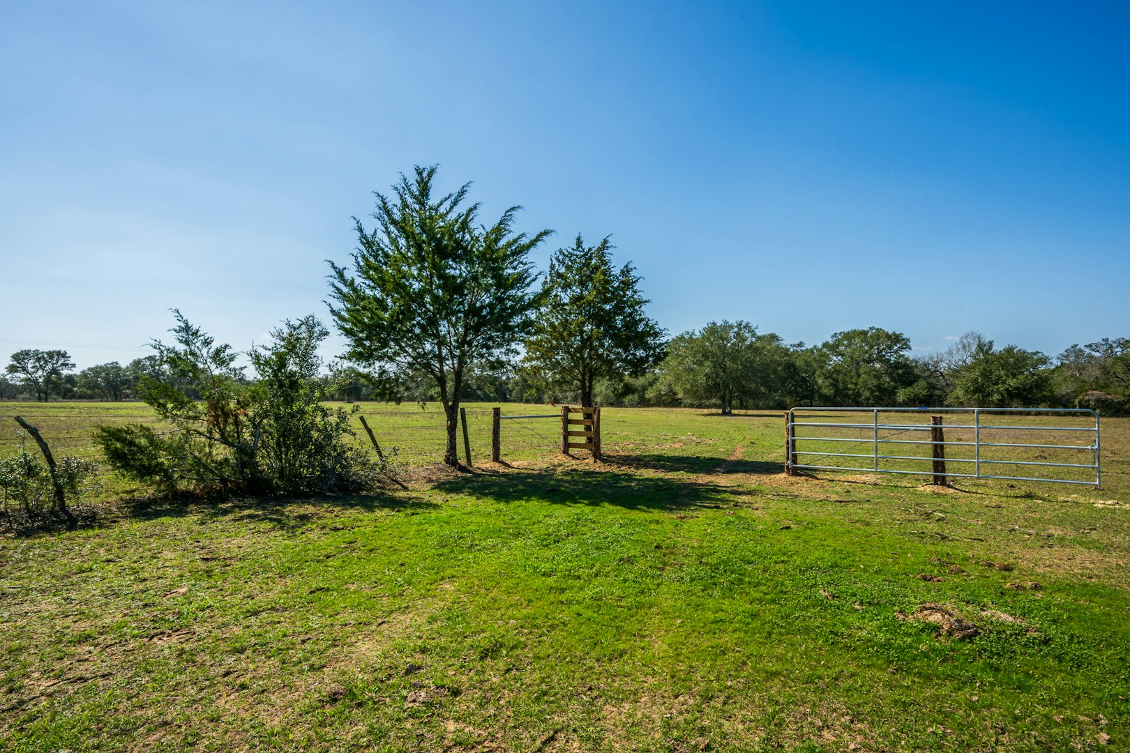 16297b Tx- 111 Yoakum TX 77995