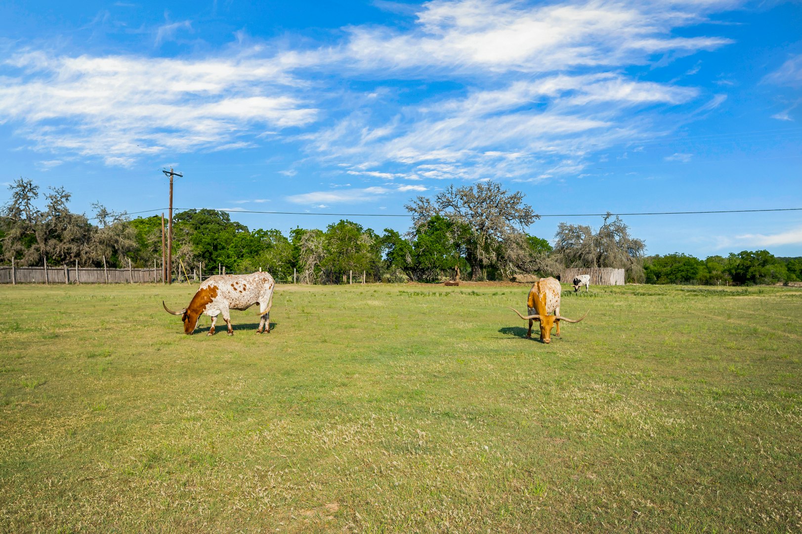 103 Waring Welfare Road Boerne TX 78006