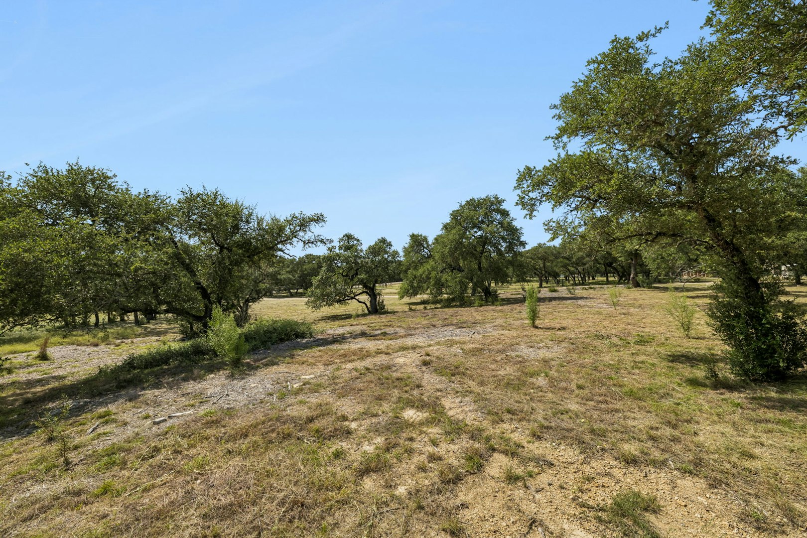 271 Hidden Oaks Drive Bulverde TX 78163