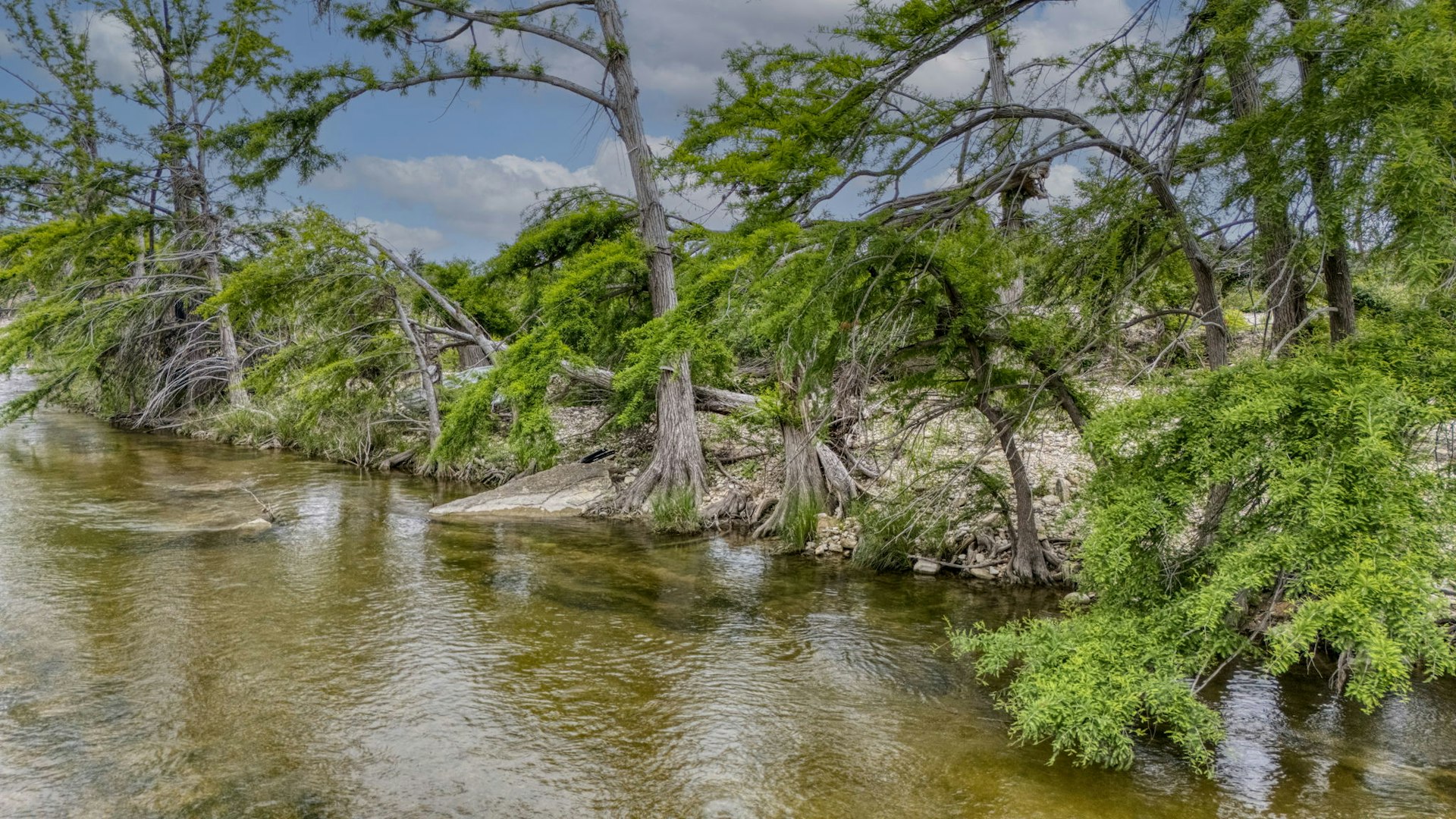 5987 Texas 27 Center Point TX 78010