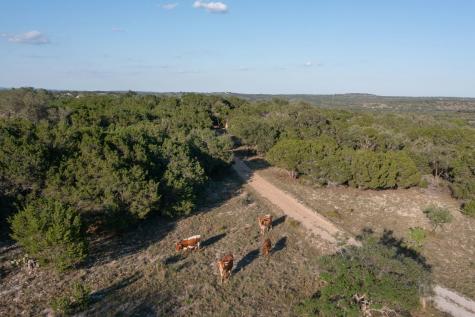 0000 Private Address Round Mountain TX 78663
