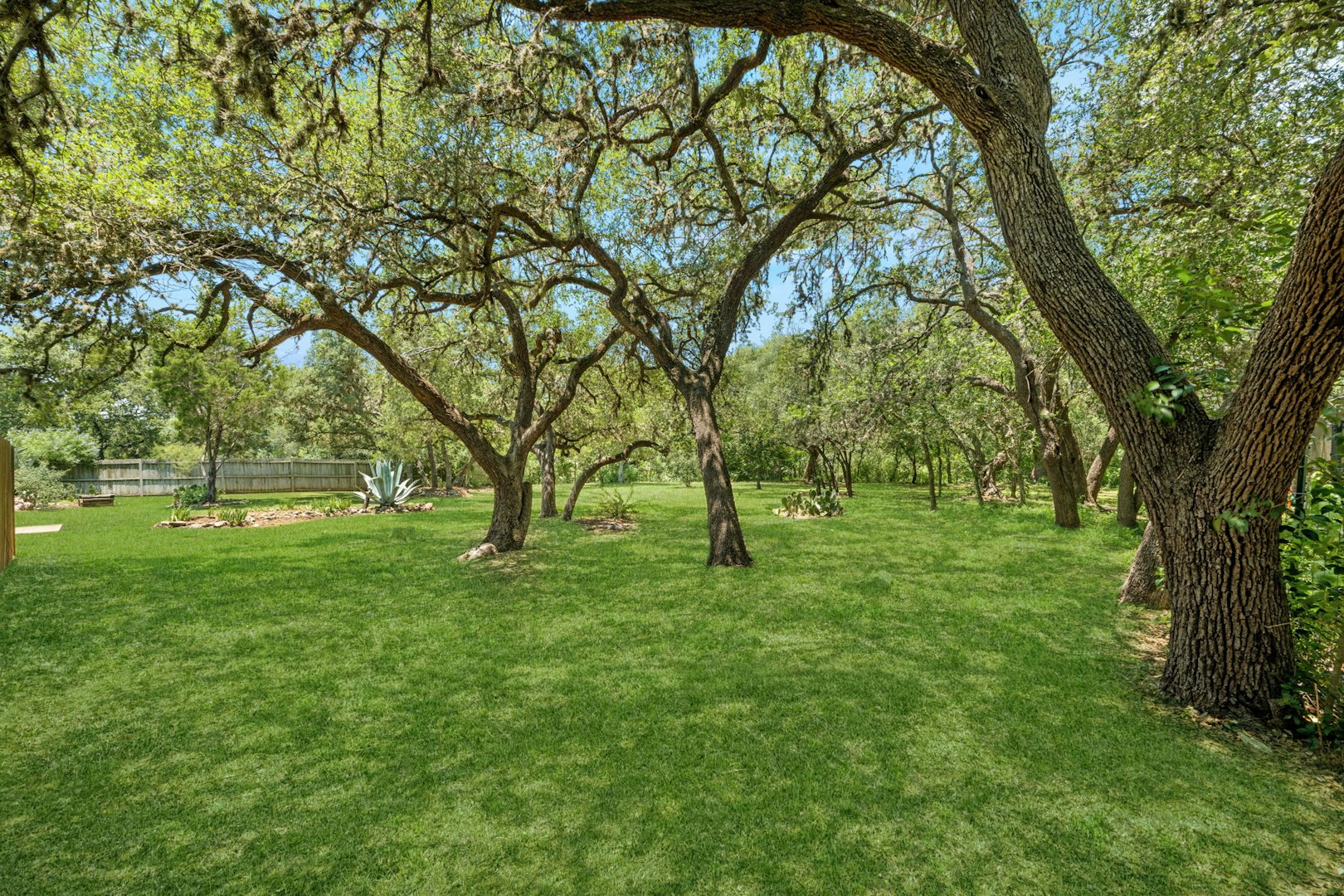 532 North School Street Boerne TX 78006