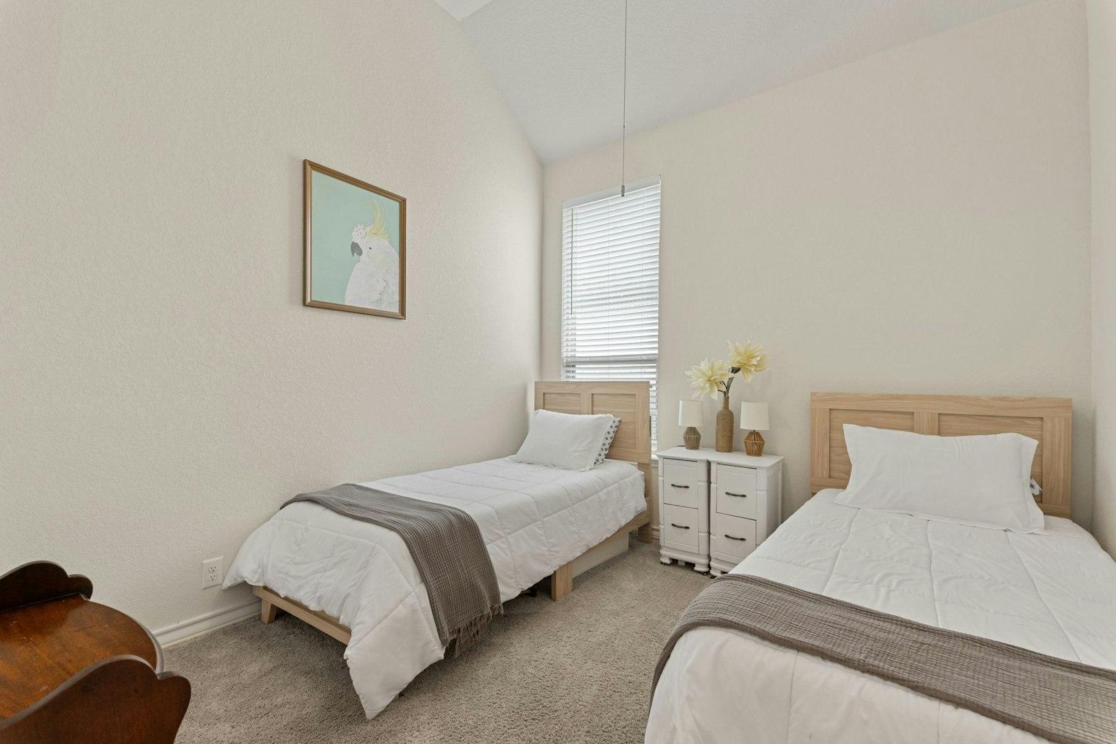 162 Cimarron Creek Boerne TX 78006
