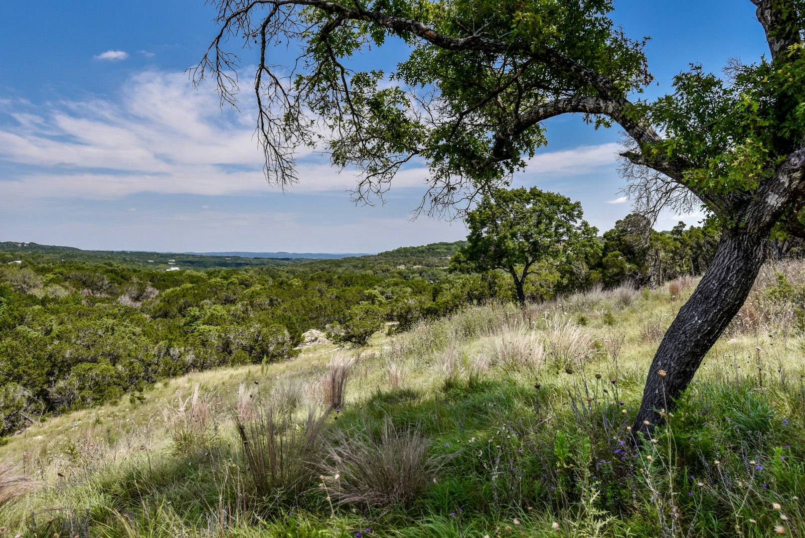 11632 Grand Summit Boulevard Dripping Springs TX 78620