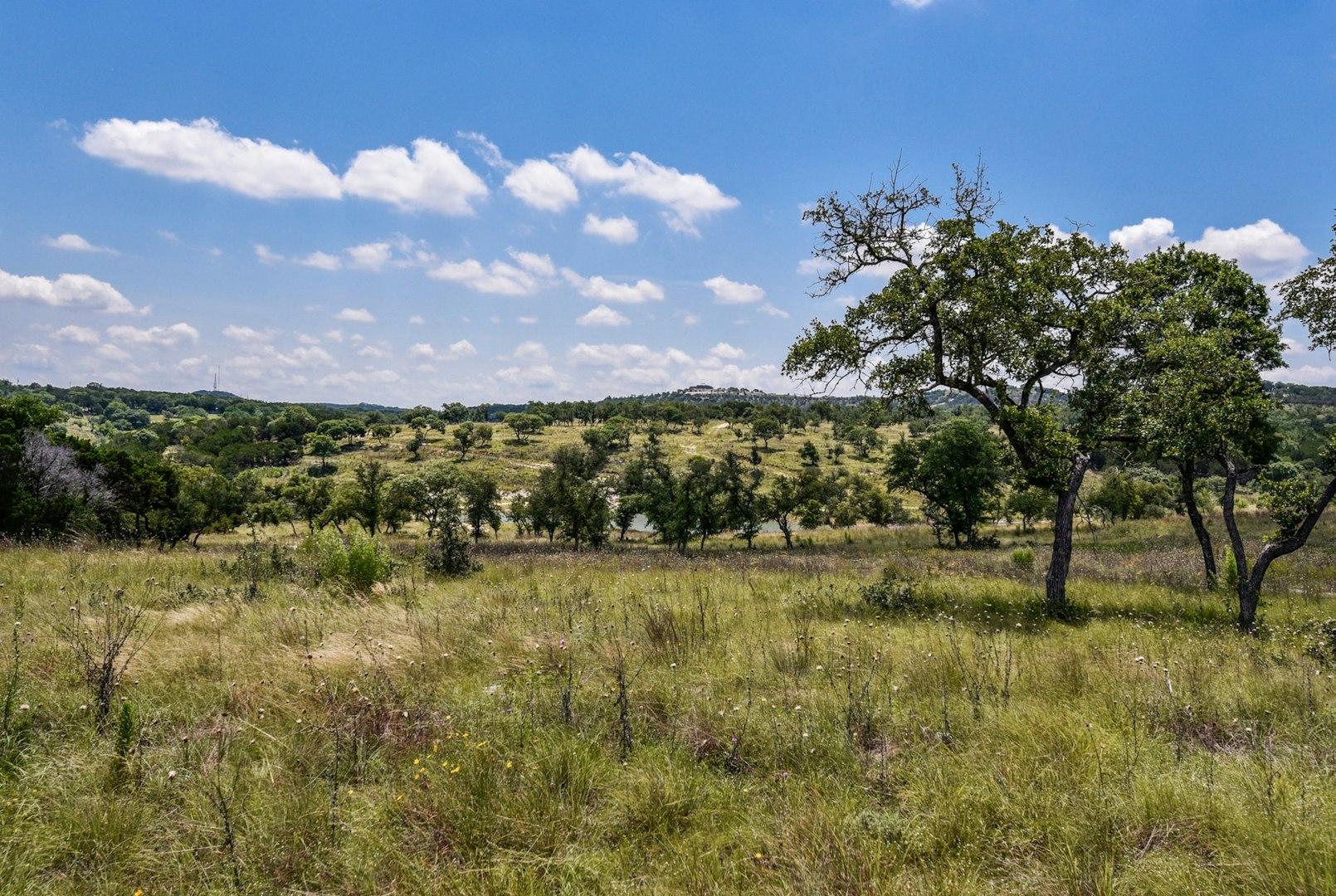 11632 Grand Summit Boulevard Dripping Springs TX 78620