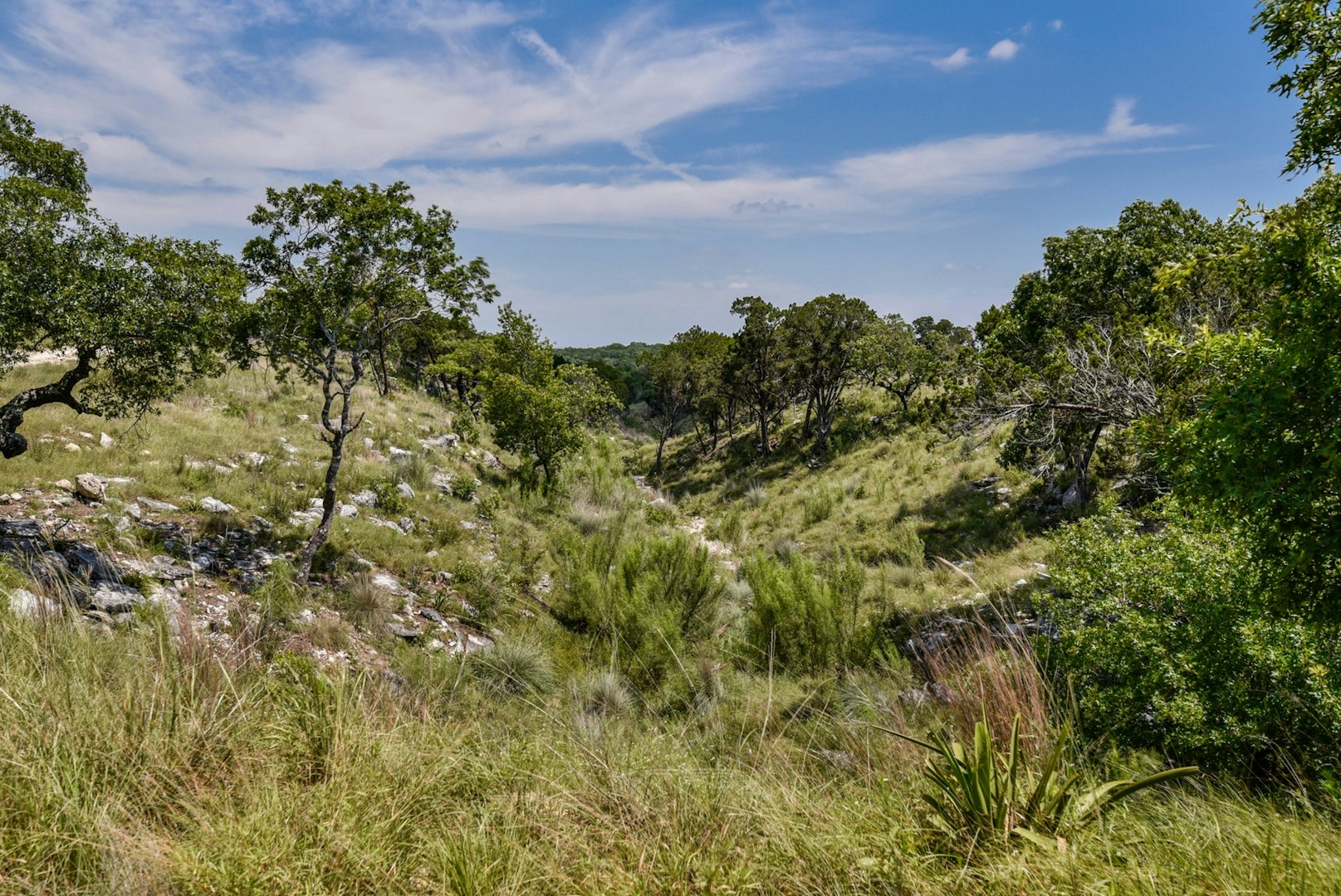 11632 Grand Summit Boulevard Dripping Springs TX 78620