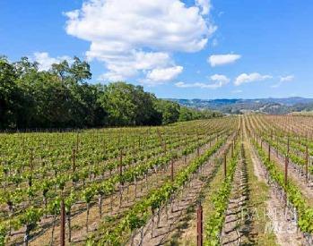 5566 Highway 128 Geyserville CA 95441