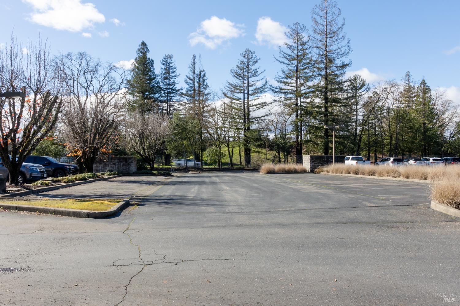 8733 Lakewood Drive Windsor CA 95492