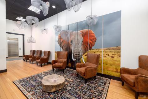 11 5th Street Petaluma CA 94952