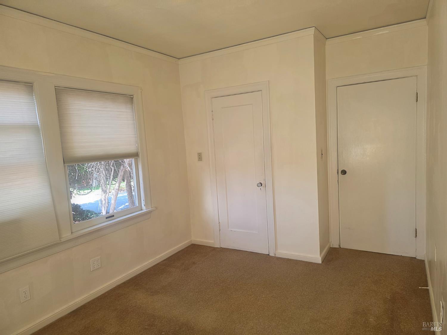 902 Curtis Street Albany CA 94706
