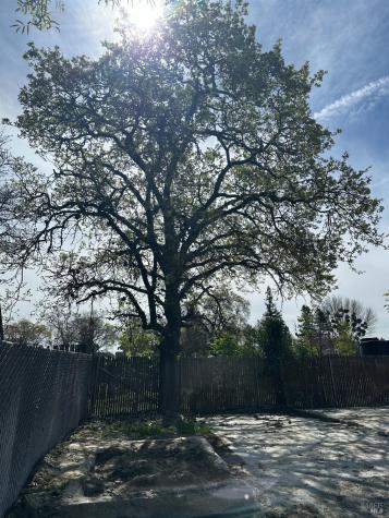 80 Barham Avenue Santa Rosa CA 95407
