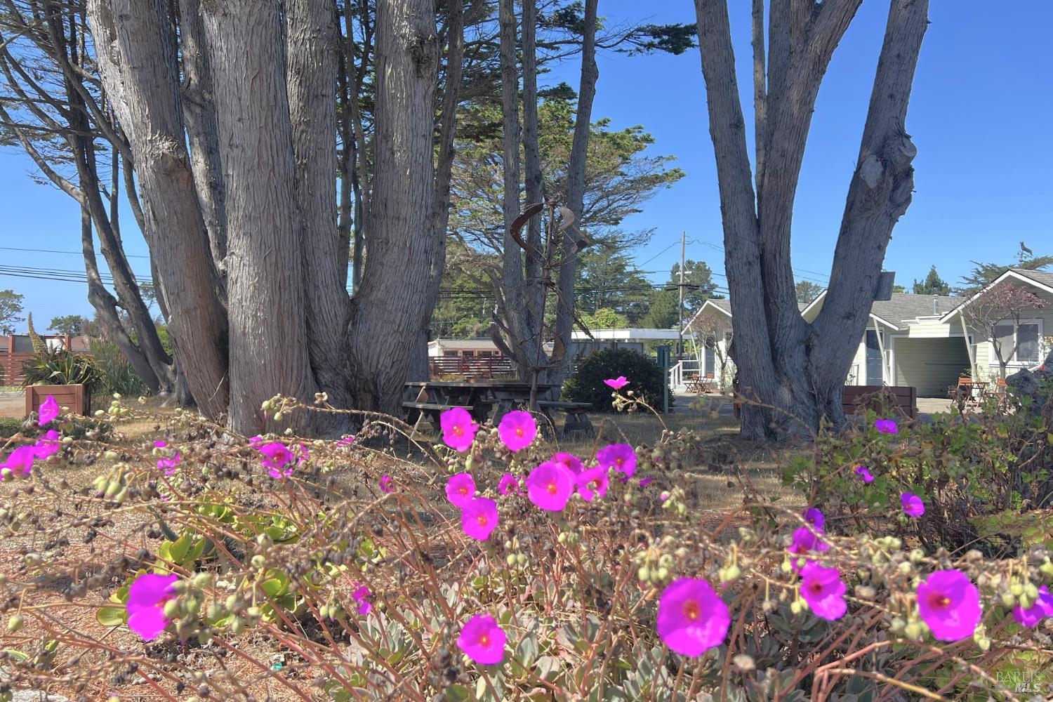 18725 N Highway 1 Highway Fort Bragg CA 95437