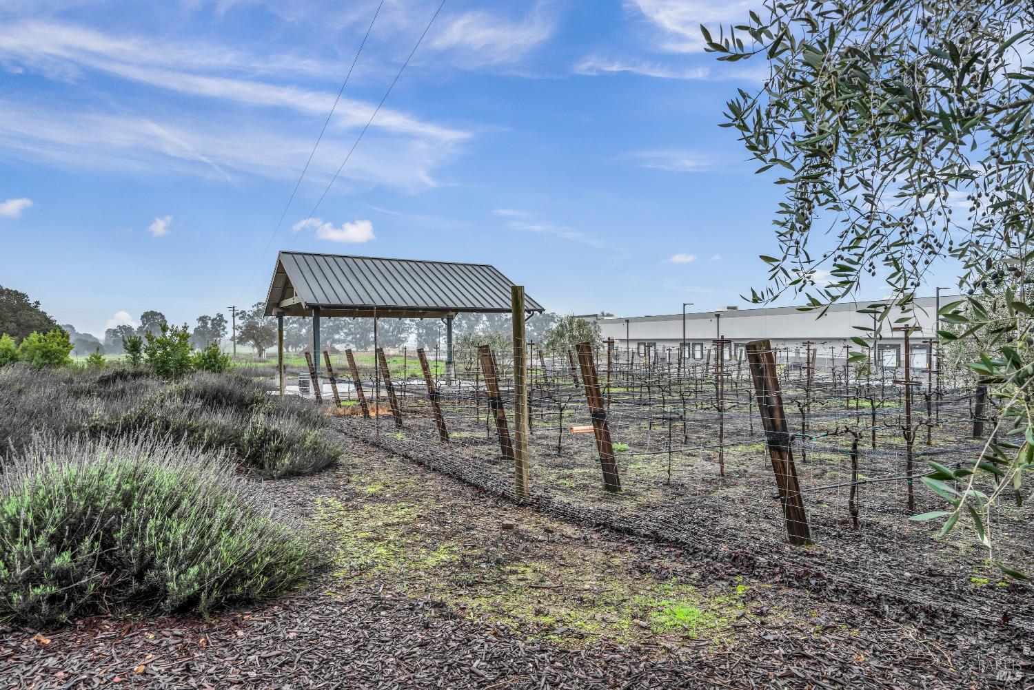 129 Devlin Road Napa CA 94558