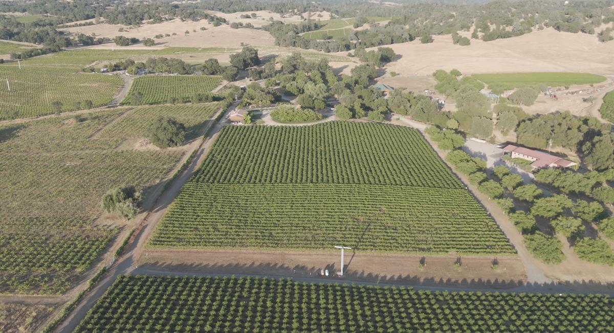 21365 Shenandoah School Road Plymouth CA 95669