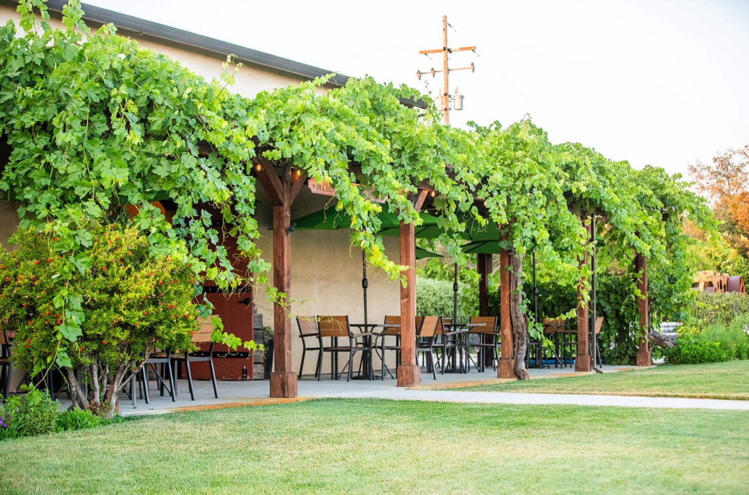21365 Shenandoah School Road Plymouth CA 95669