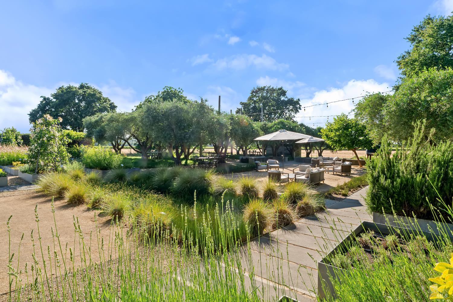 3487 Alexander Valley Road Healdsburg CA 95448