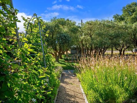 3487 Alexander Valley Road Healdsburg CA 95448