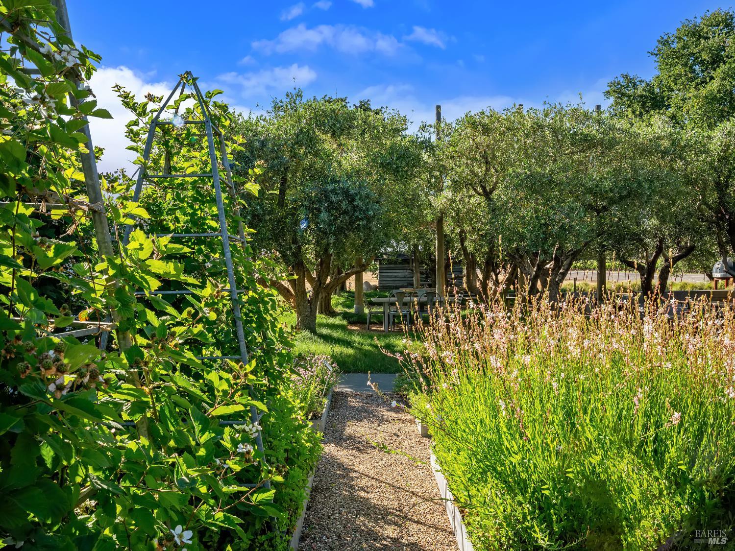 3487 Alexander Valley Road Healdsburg CA 95448