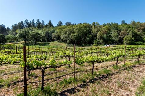 10200 Ca-12 Highway Kenwood CA 95452