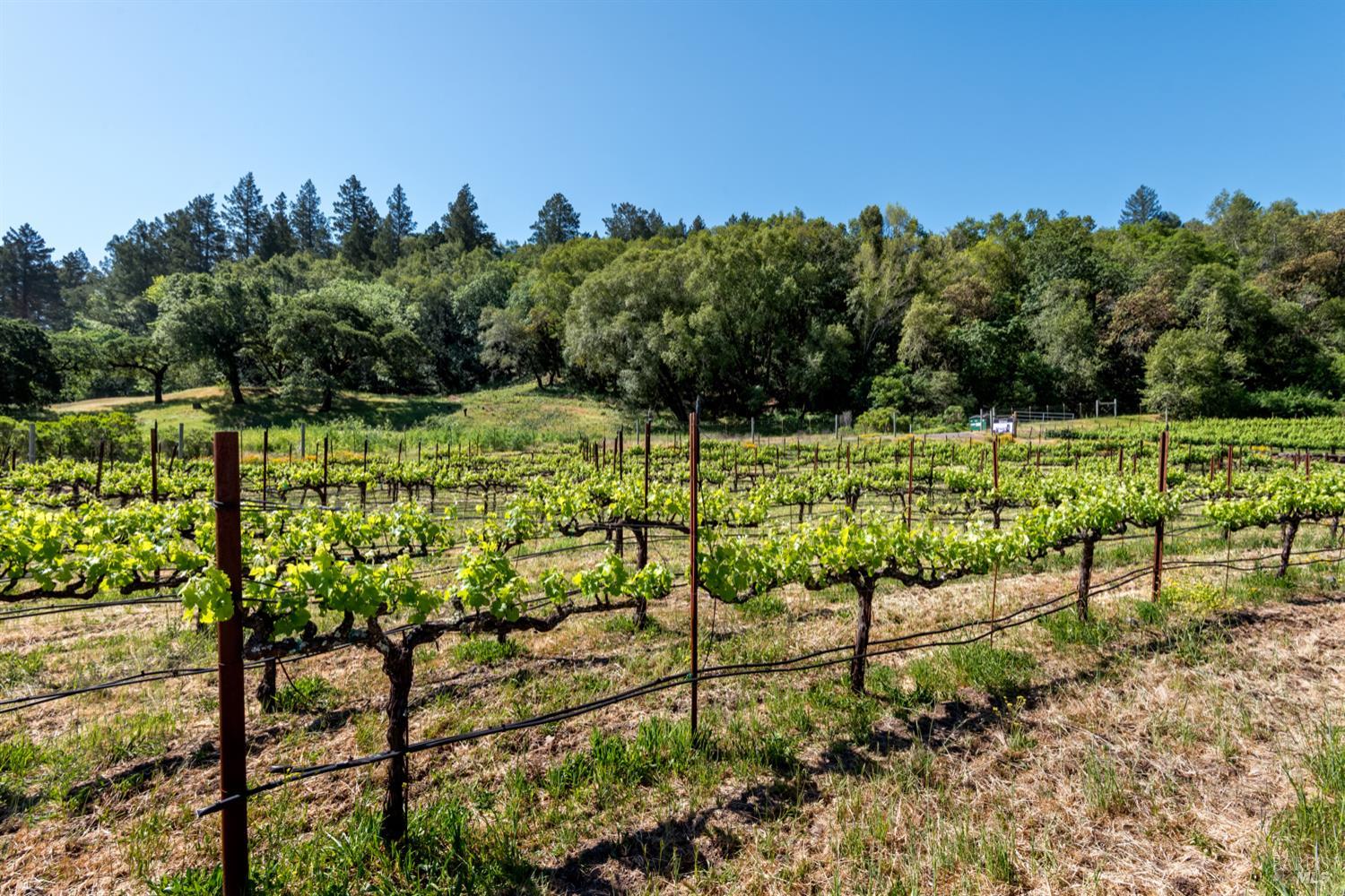 10200 Ca-12 Highway Kenwood CA 95452