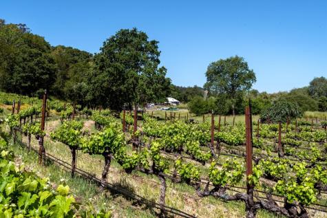10200 Ca-12 Highway Kenwood CA 95452