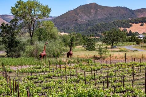 10200 Ca-12 Highway Kenwood CA 95452