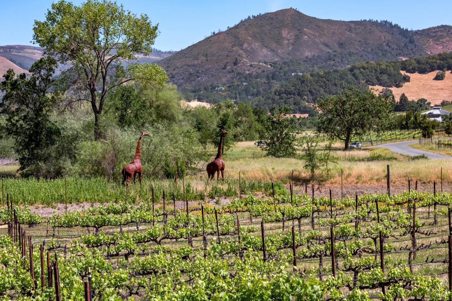 10200 Ca-12 Highway Kenwood CA 95452