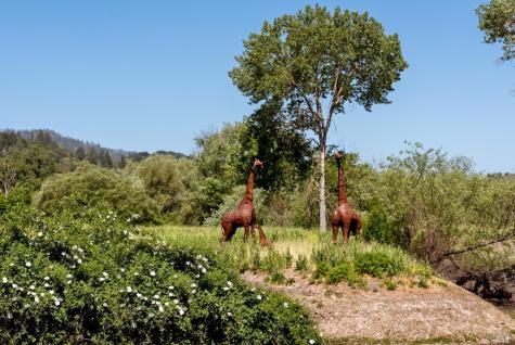 10200 Ca-12 Highway Kenwood CA 95452