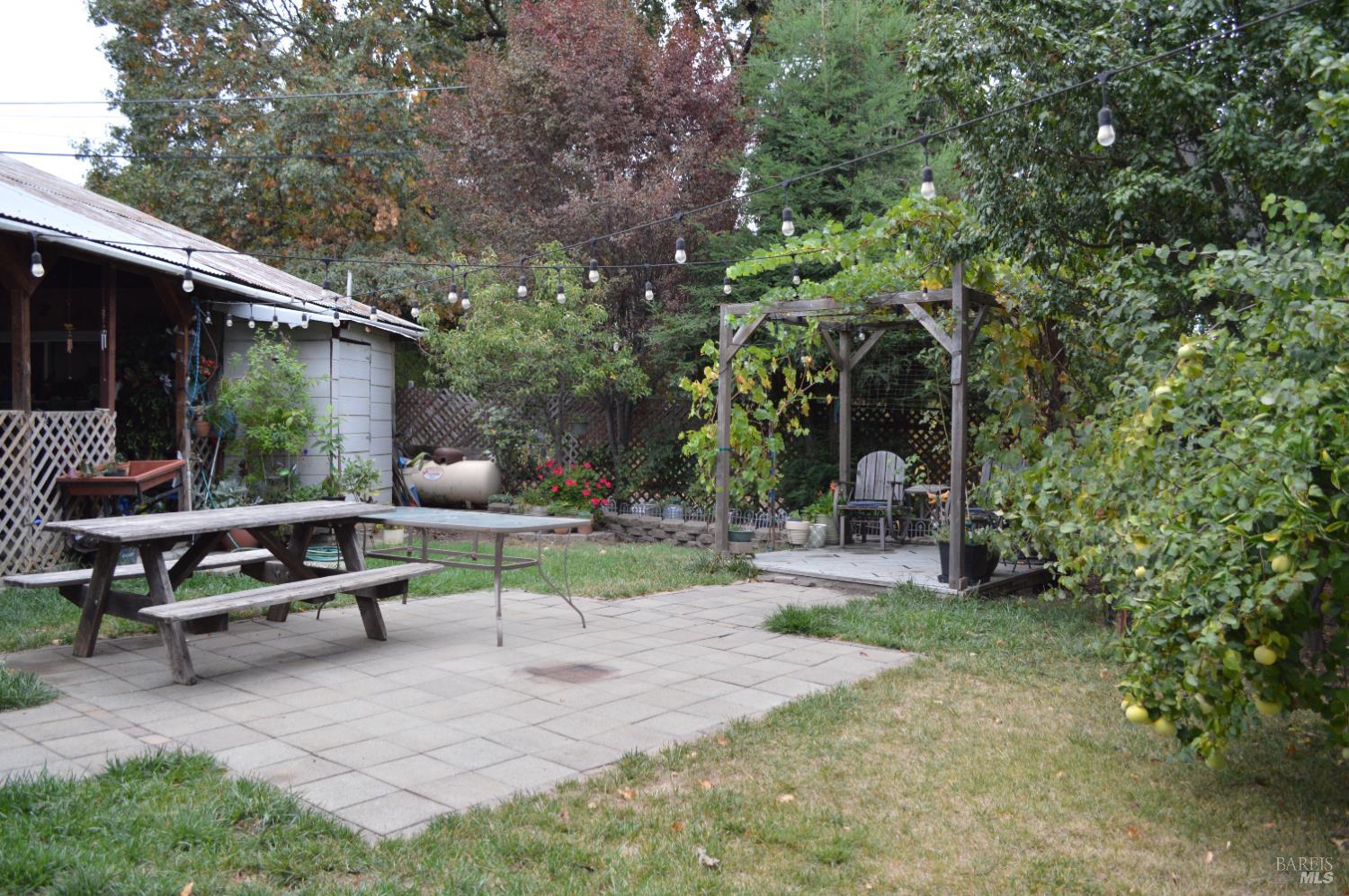 230 Shell Lane Willits CA 95490
