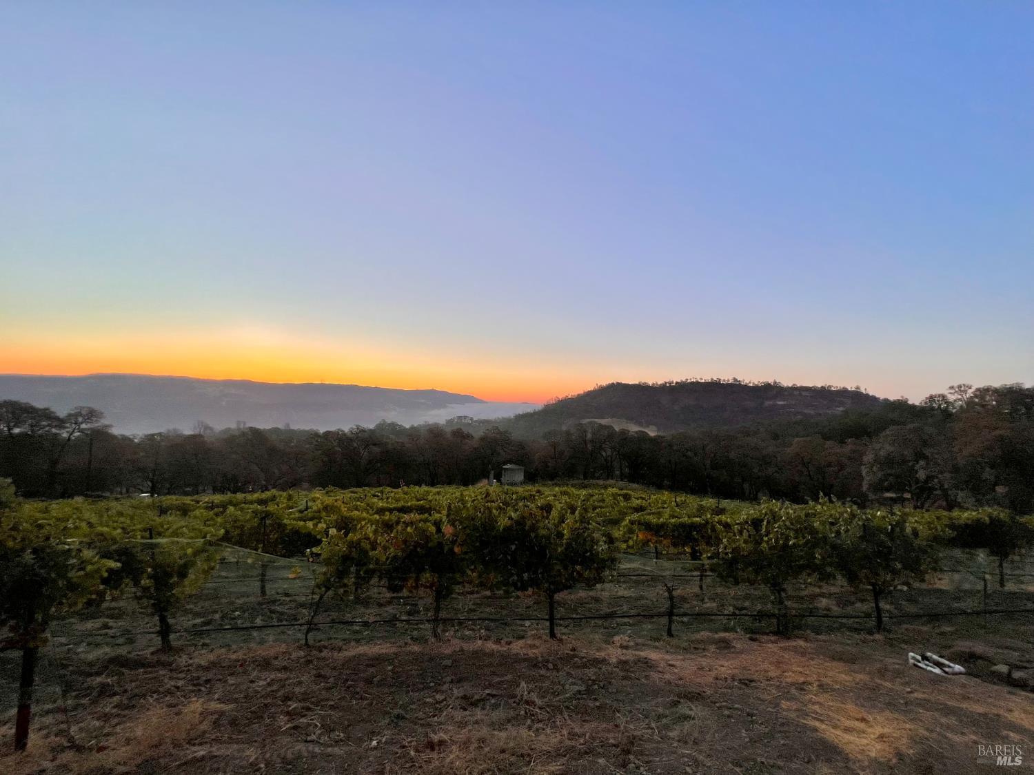 65 Longhorn Ridge Road Napa CA 94558