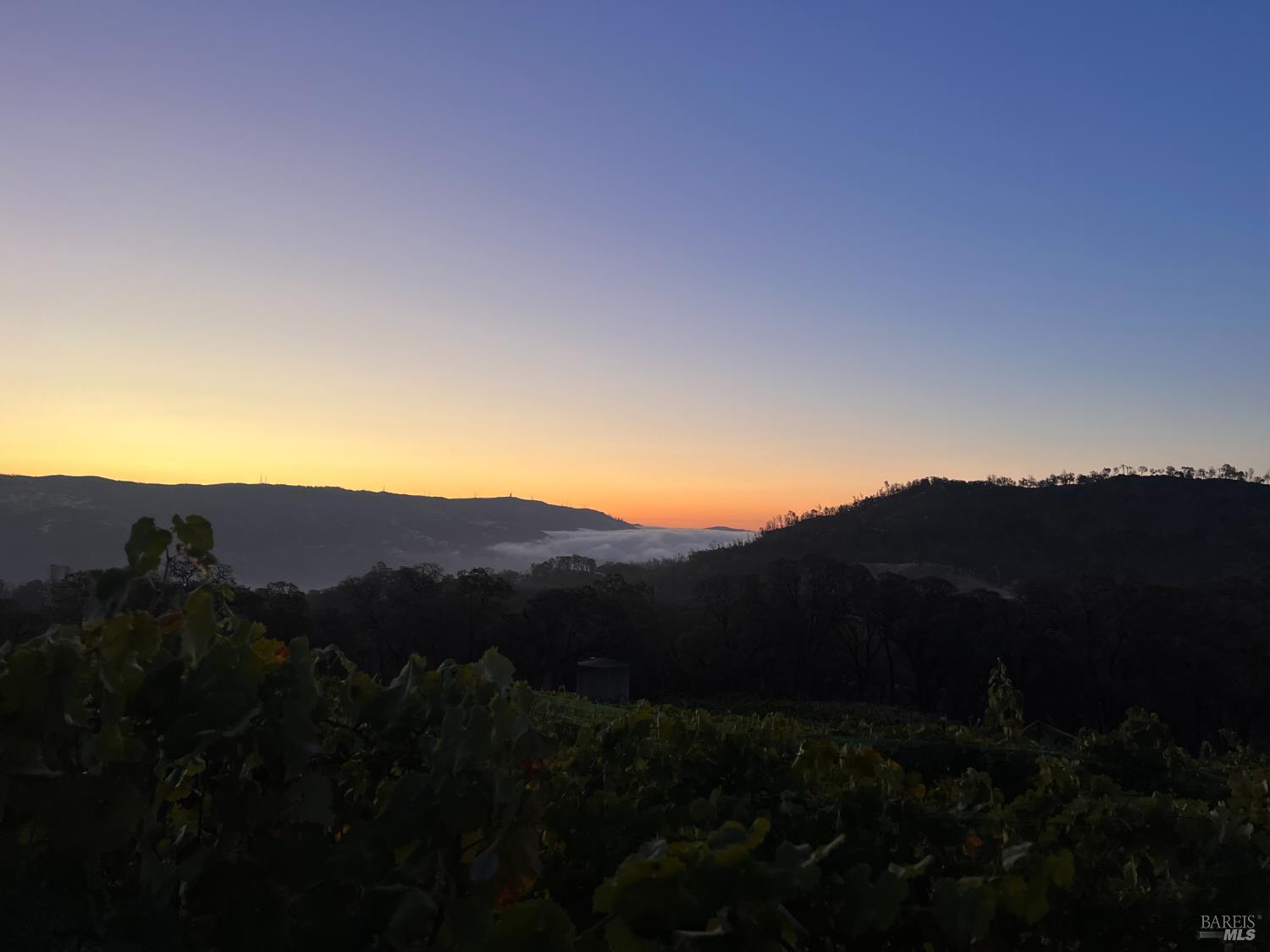 65 Longhorn Ridge Road Napa CA 94558