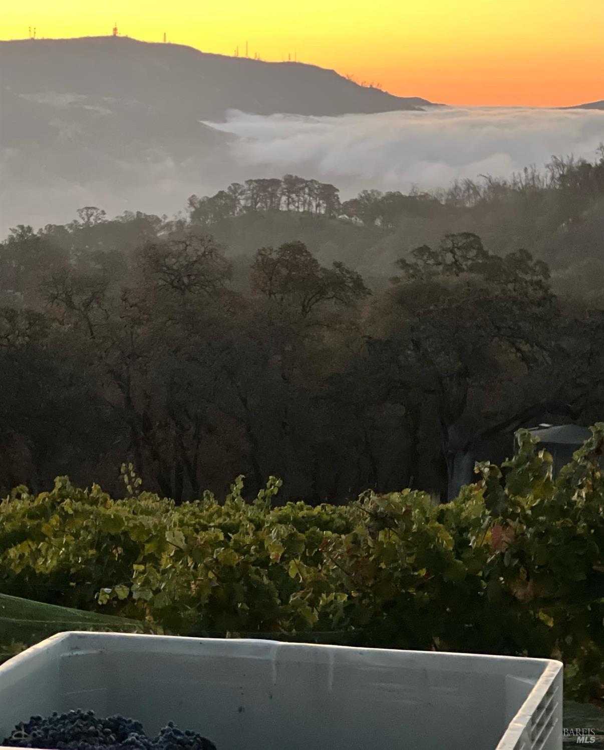 65 Longhorn Ridge Road Napa CA 94558