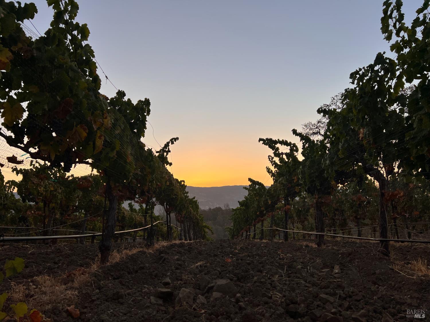65 Longhorn Ridge Road Napa CA 94558