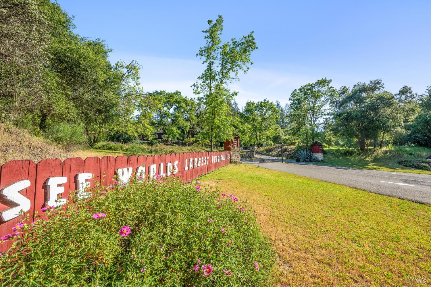 4100 Petrified Forest Road Calistoga CA 94515