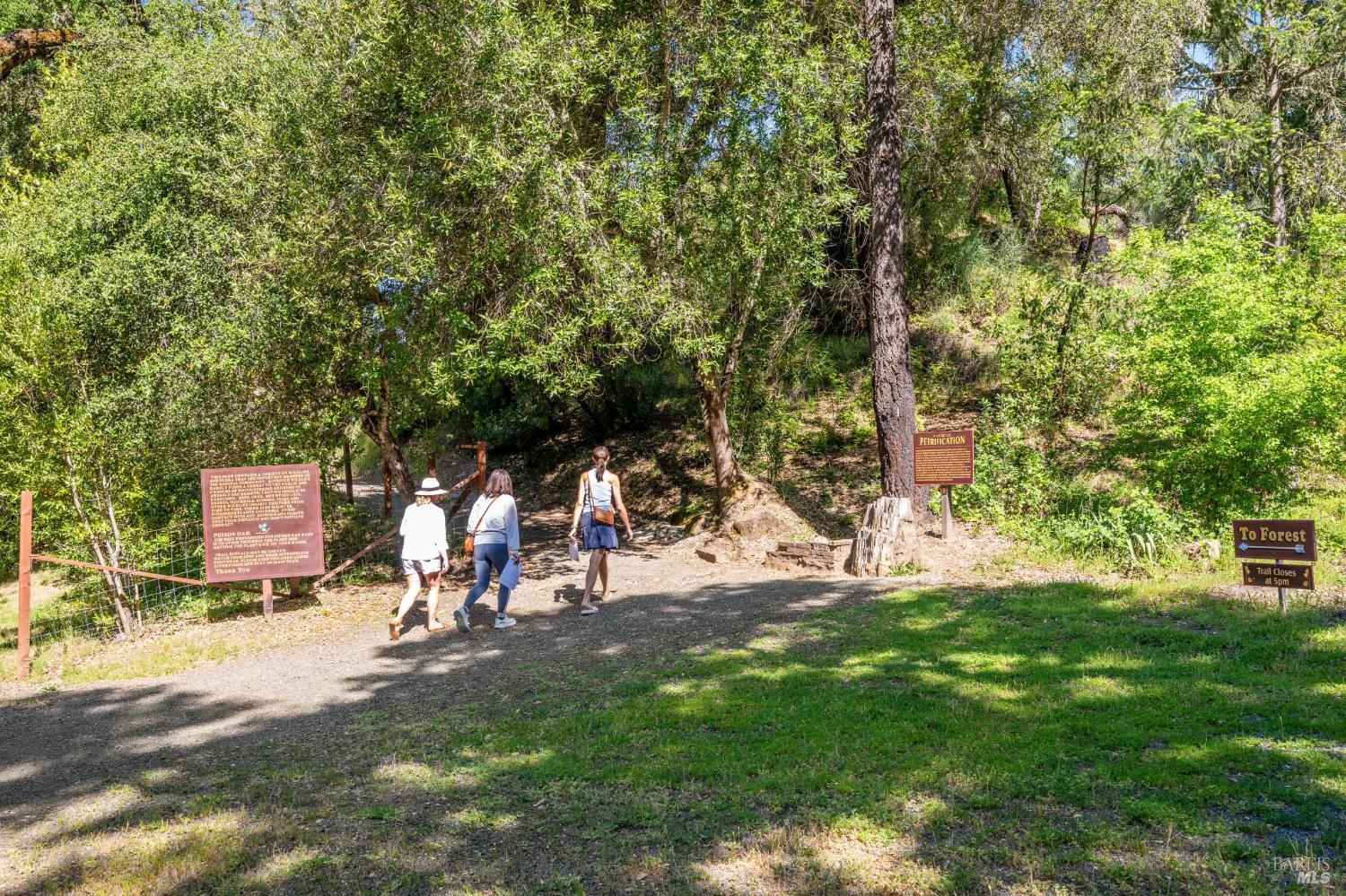 4100 Petrified Forest Road Calistoga CA 94515
