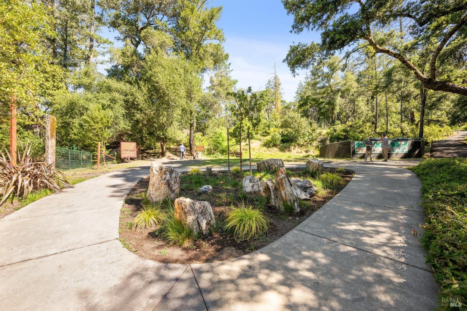 4100 Petrified Forest Road Calistoga CA 94515