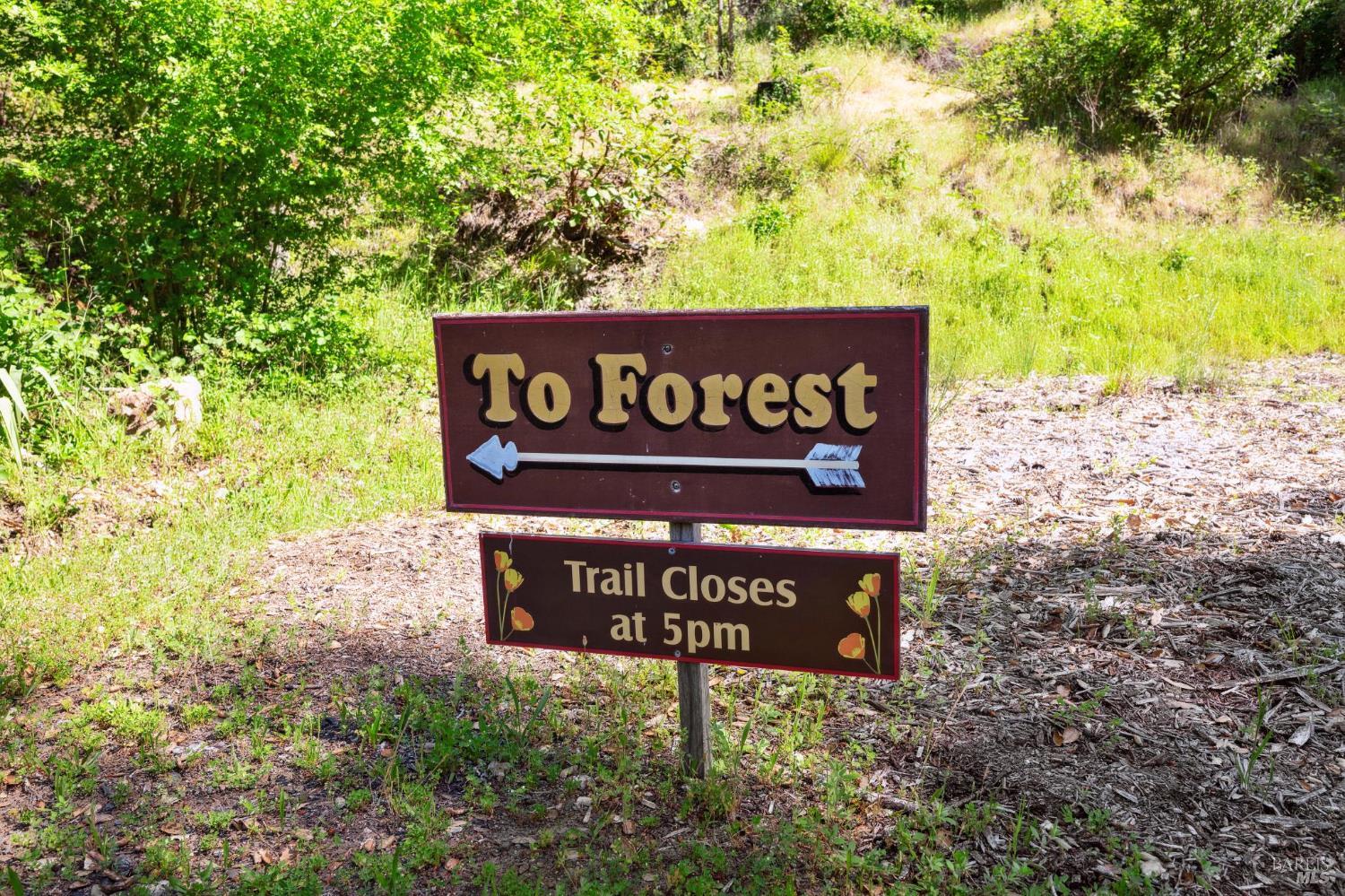4100 Petrified Forest Road Calistoga CA 94515