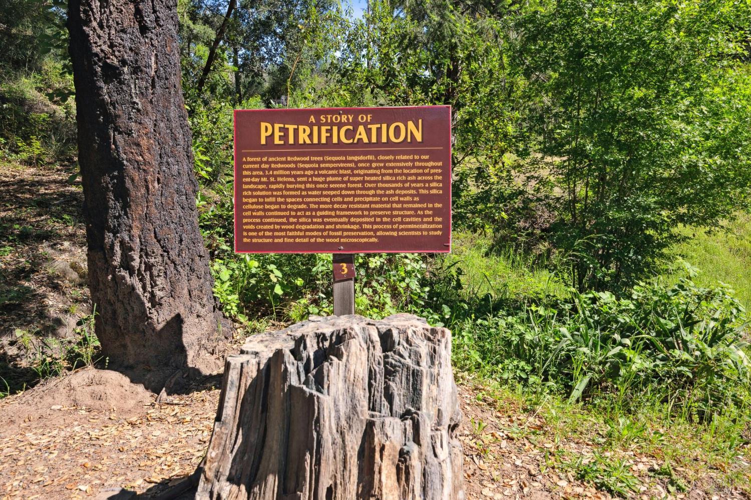 4100 Petrified Forest Road Calistoga CA 94515