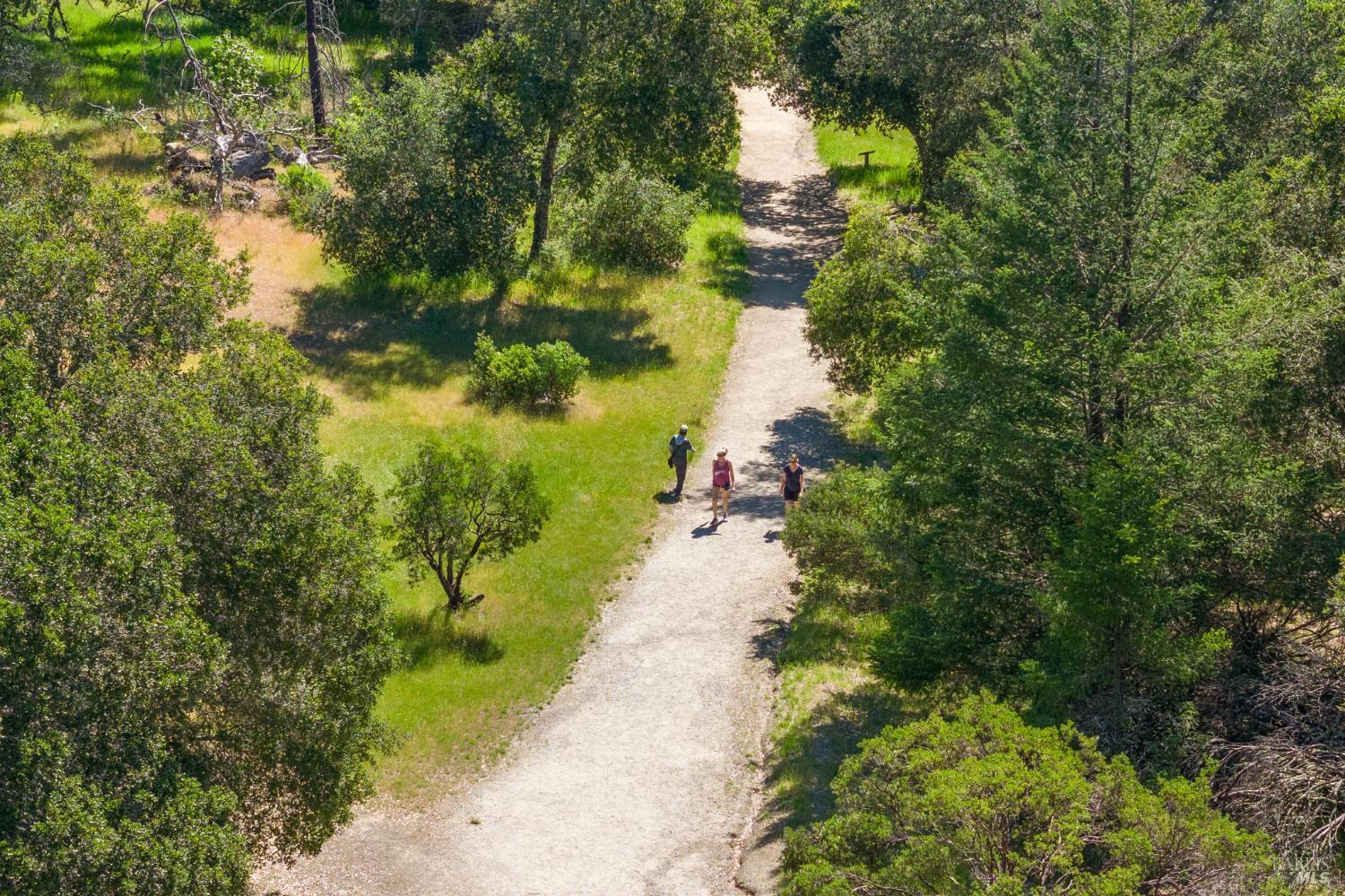 4100 Petrified Forest Road Calistoga CA 94515