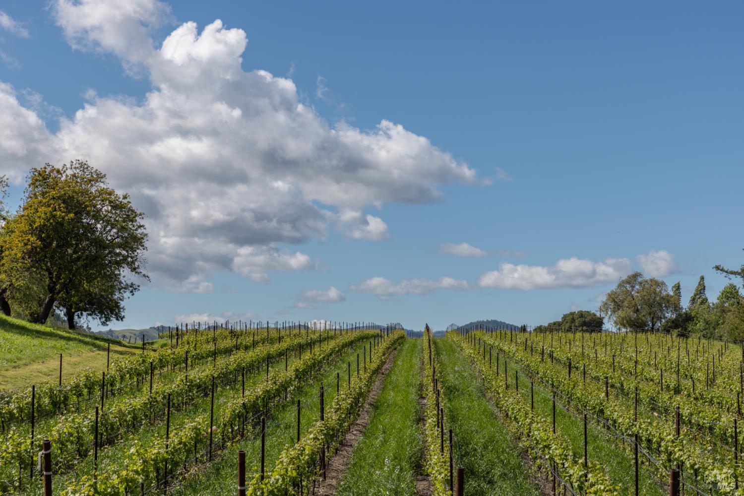 1129 Dealy Lane Napa CA 94559