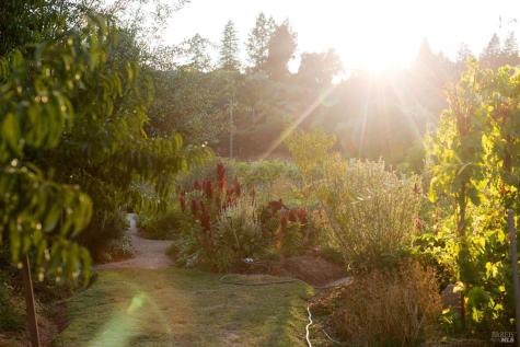 766 Westside Road Healdsburg CA 95448