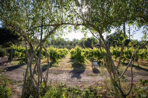 766 Westside Road Healdsburg CA 95448