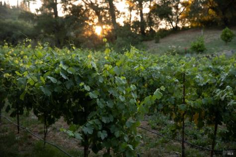 766 Westside Road Healdsburg CA 95448