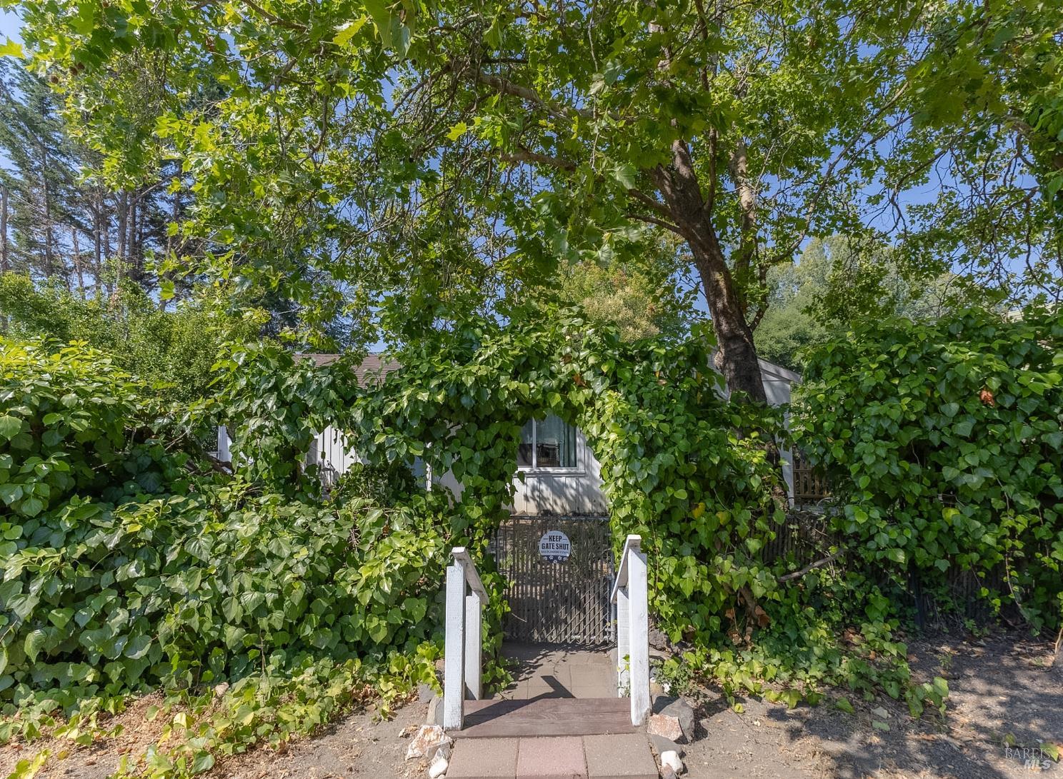 9 Page Street Cotati CA 94931