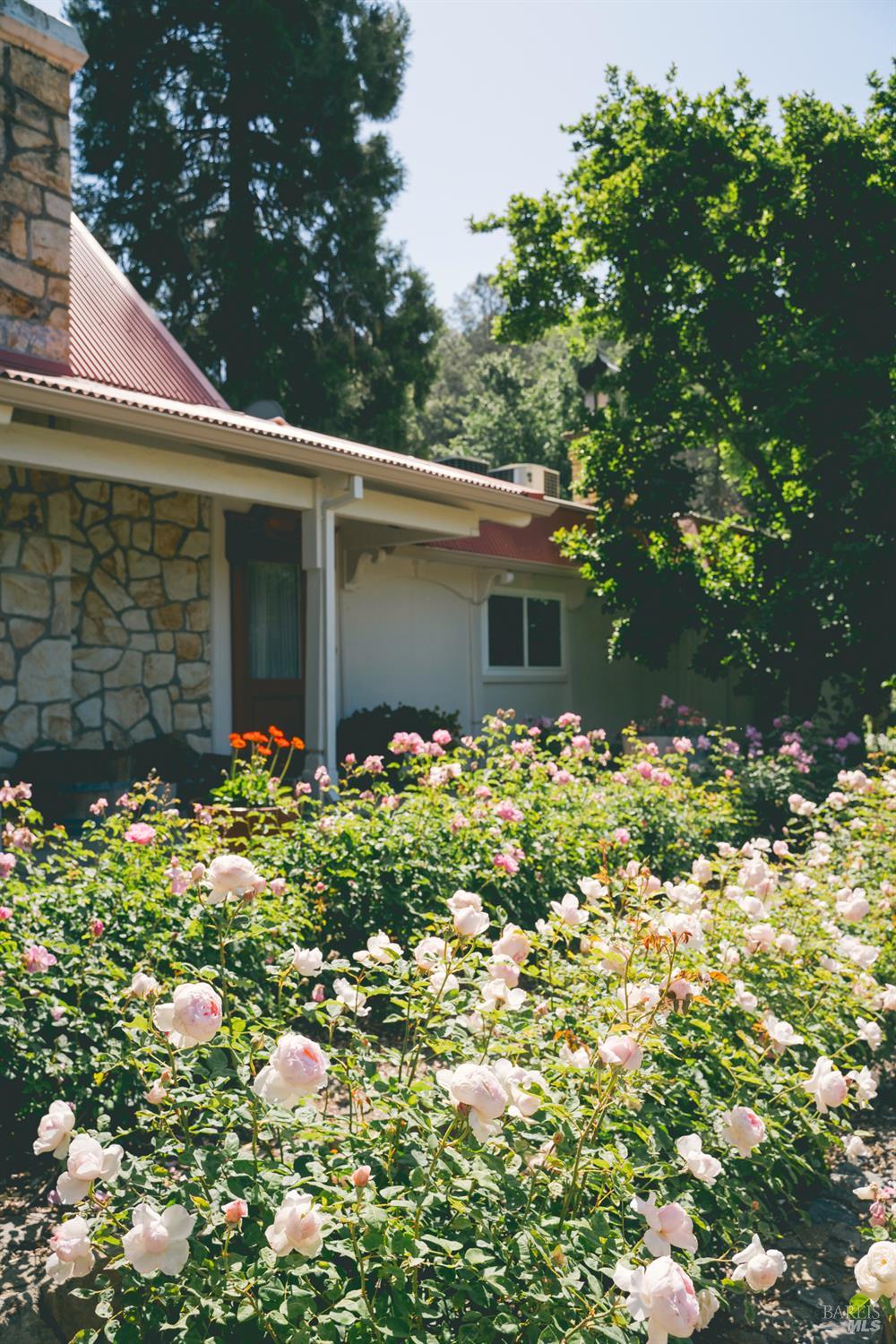 2250 Lake County Highway Calistoga CA 94515