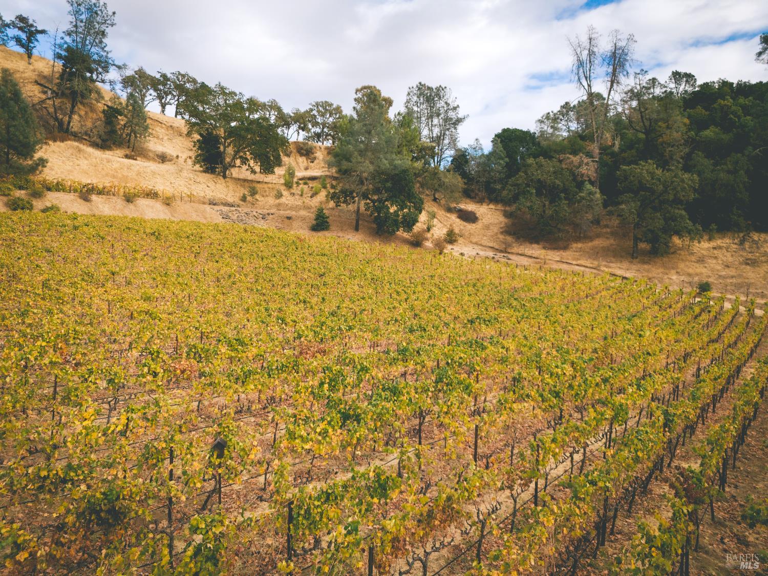 2250 Lake County Highway Calistoga CA 94515