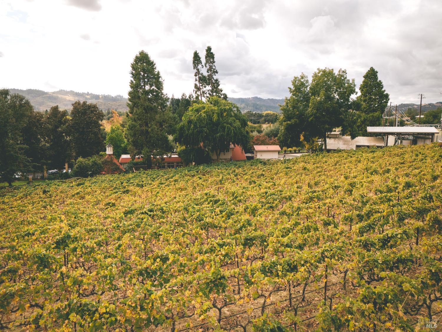 2250 Lake County Highway Calistoga CA 94515
