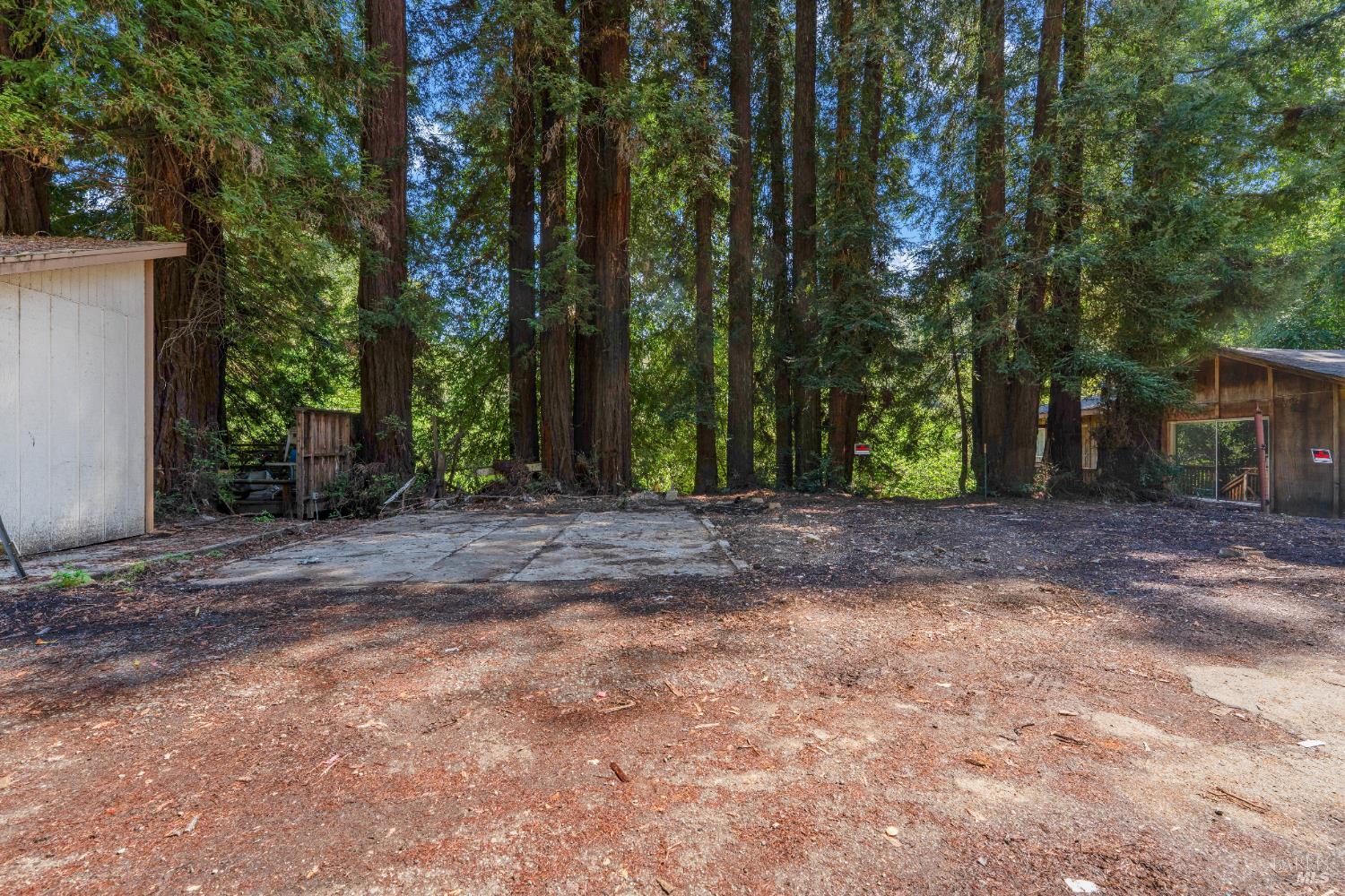 10991 River Road Forestville CA 95436