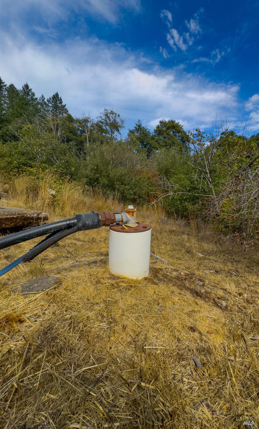 1800 W Ca-20 Highway Willits CA 95490